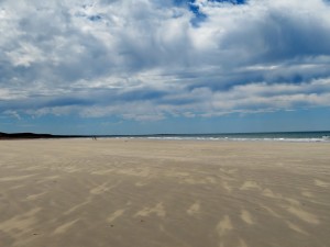 Playas Doradas