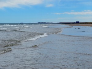 Playas Doradas