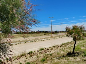 Playas Doradas