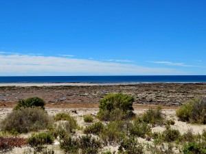 Playas Doradas