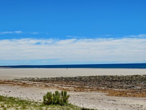 Playas Doradas