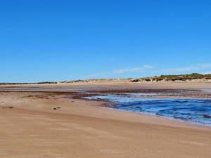 Playas Doradas