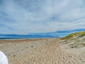 Playas Doradas