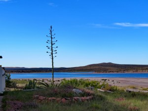 Playas Doradas