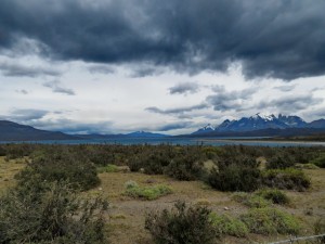 Puerto Natales-Laguna Amarga_11