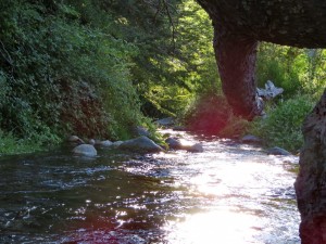 vor Termas de Chillán_10