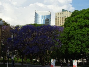 Buenos Aires_47
